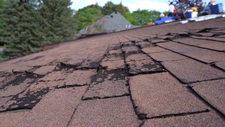 Roof Coating Services in Houma, LA